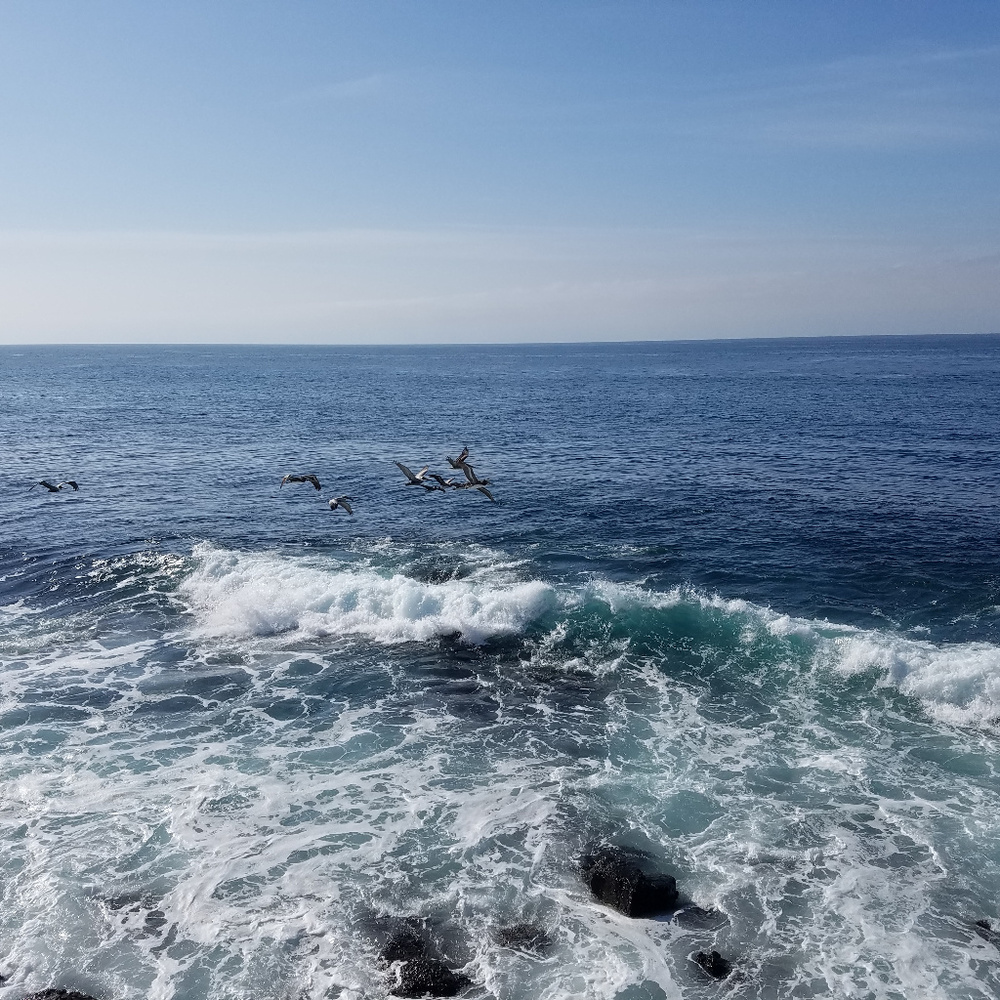 Meet your Posher, Annette